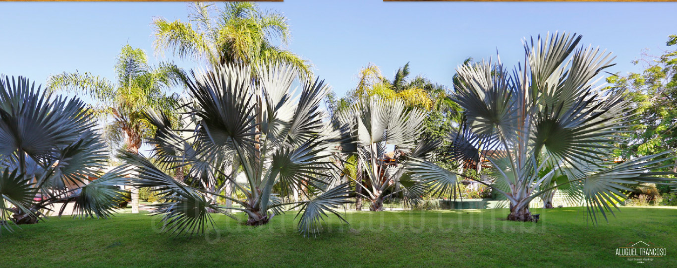 casa de luxo a venda no condominio terravista golf trancoso