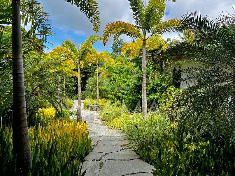 alugar casa altar condominio altos de trancoso